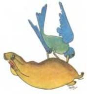 Рукокрылые, приматы, неполнозубые, панголины, зайцеобразные, грызуны, китообразные, ластоногие, трубкозубые, даманы, сирены и хоботные - i_108.jpg