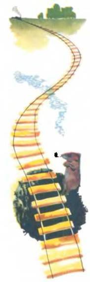 Рукокрылые, приматы, неполнозубые, панголины, зайцеобразные, грызуны, китообразные, ластоногие, трубкозубые, даманы, сирены и хоботные - i_110.jpg