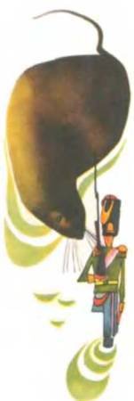 Рукокрылые, приматы, неполнозубые, панголины, зайцеобразные, грызуны, китообразные, ластоногие, трубкозубые, даманы, сирены и хоботные - i_135.jpg