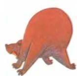 Рукокрылые, приматы, неполнозубые, панголины, зайцеобразные, грызуны, китообразные, ластоногие, трубкозубые, даманы, сирены и хоботные - i_159.jpg