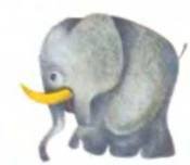 Рукокрылые, приматы, неполнозубые, панголины, зайцеобразные, грызуны, китообразные, ластоногие, трубкозубые, даманы, сирены и хоботные - i_177.jpg