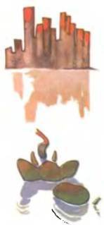 Рукокрылые, приматы, неполнозубые, панголины, зайцеобразные, грызуны, китообразные, ластоногие, трубкозубые, даманы, сирены и хоботные - i_178.jpg