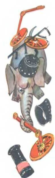 Рукокрылые, приматы, неполнозубые, панголины, зайцеобразные, грызуны, китообразные, ластоногие, трубкозубые, даманы, сирены и хоботные - i_181.jpg