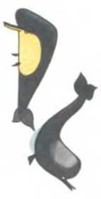 Рукокрылые, приматы, неполнозубые, панголины, зайцеобразные, грызуны, китообразные, ластоногие, трубкозубые, даманы, сирены и хоботные - i_200.jpg