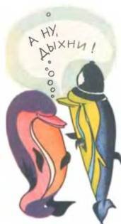 Рукокрылые, приматы, неполнозубые, панголины, зайцеобразные, грызуны, китообразные, ластоногие, трубкозубые, даманы, сирены и хоботные - i_201.jpg