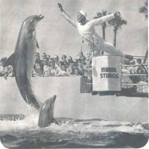 Рукокрылые, приматы, неполнозубые, панголины, зайцеобразные, грызуны, китообразные, ластоногие, трубкозубые, даманы, сирены и хоботные - i_202.jpg