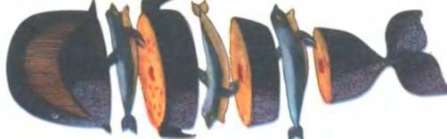 Рукокрылые, приматы, неполнозубые, панголины, зайцеобразные, грызуны, китообразные, ластоногие, трубкозубые, даманы, сирены и хоботные - i_206.jpg