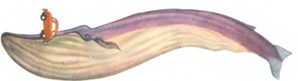 Рукокрылые, приматы, неполнозубые, панголины, зайцеобразные, грызуны, китообразные, ластоногие, трубкозубые, даманы, сирены и хоботные - i_208.jpg