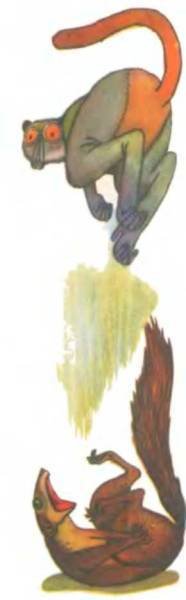 Рукокрылые, приматы, неполнозубые, панголины, зайцеобразные, грызуны, китообразные, ластоногие, трубкозубые, даманы, сирены и хоботные - i_251.jpg