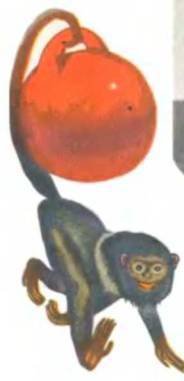 Рукокрылые, приматы, неполнозубые, панголины, зайцеобразные, грызуны, китообразные, ластоногие, трубкозубые, даманы, сирены и хоботные - i_275.jpg