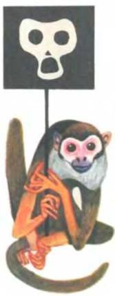 Рукокрылые, приматы, неполнозубые, панголины, зайцеобразные, грызуны, китообразные, ластоногие, трубкозубые, даманы, сирены и хоботные - i_283.jpg