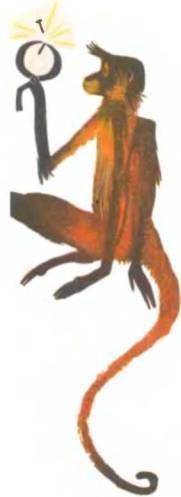 Рукокрылые, приматы, неполнозубые, панголины, зайцеобразные, грызуны, китообразные, ластоногие, трубкозубые, даманы, сирены и хоботные - i_286.jpg