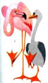 Птицы - i_116.jpg