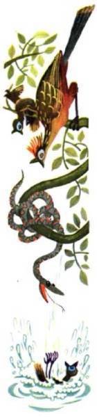 Птицы - i_257.jpg