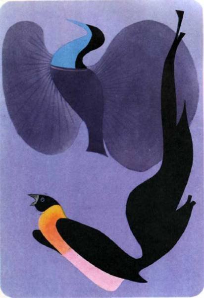 Птицы - i_377.jpg