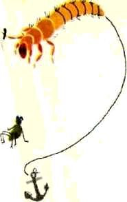 Насекомые. Пауки - i_047.jpg