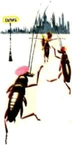 Насекомые. Пауки - i_053.jpg