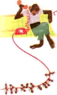 Насекомые. Пауки - i_065.jpg