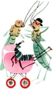 Насекомые. Пауки - i_076.jpg