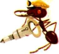 Насекомые. Пауки - i_228.jpg