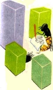 Насекомые. Пауки - i_251.jpg