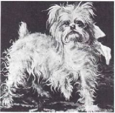 Мир животных. Домашние животные - i_039.jpg