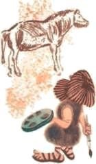 Мир животных. Домашние животные - i_091.jpg