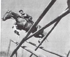 Мир животных. Домашние животные - i_132.jpg