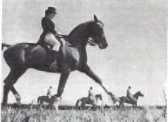 Мир животных. Домашние животные - i_133.jpg