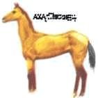 Мир животных. Домашние животные - i_137.jpg