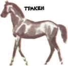 Мир животных. Домашние животные - i_139.jpg