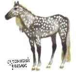 Мир животных. Домашние животные - i_140.jpg