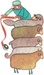 Мир животных. Домашние животные - i_170.jpg