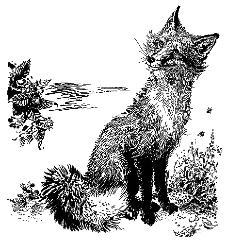 Лунный зверь - i_001.png