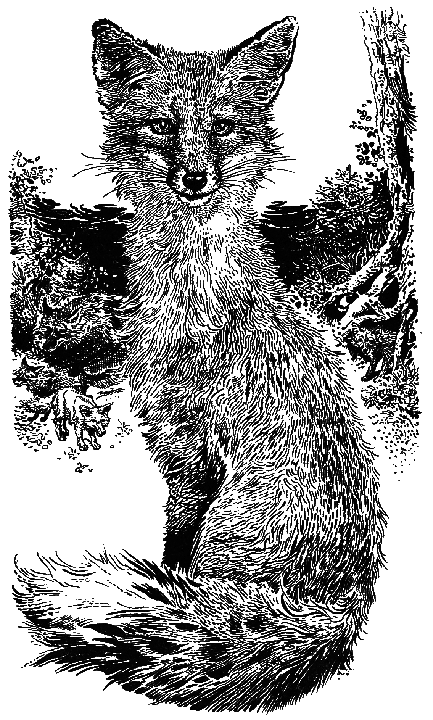 Лунный зверь - i_002.png