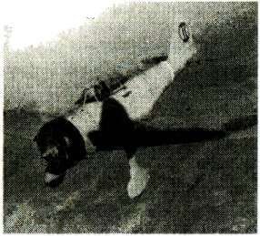 Я дрался с самураями. От Халхин-Гола до Порт-Артура - i_035.jpg