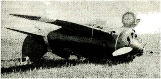 Я дрался с самураями. От Халхин-Гола до Порт-Артура - i_046.jpg