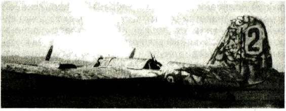 Я дрался с самураями. От Халхин-Гола до Порт-Артура - i_054.jpg