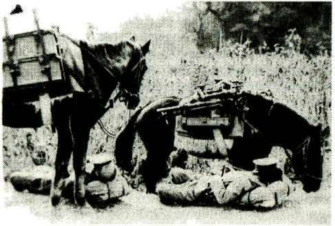 Я дрался с самураями. От Халхин-Гола до Порт-Артура - i_155.jpg