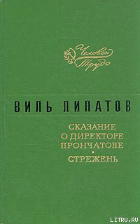 Книга Стрежень