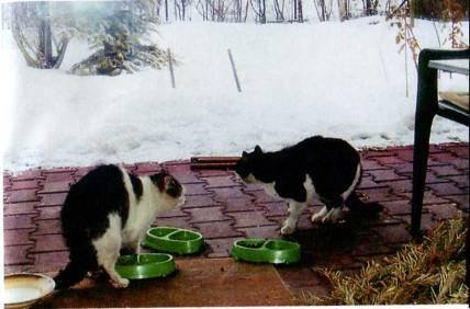 Автобиография. Старая перечница - i_020.jpg