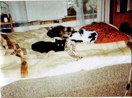 Автобиография. Старая перечница - i_021.jpg