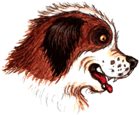 Пёс спешит на помощь - img90.png