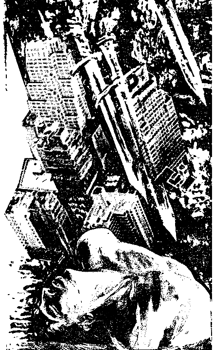 Зарубежный криминальный роман - i_002.png