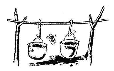 Георг — Синяя Птица (с иллюстрац.) - img_9.png