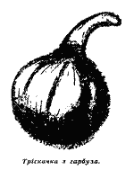 Георг — Синяя Птица (с иллюстрац.) - img_29.png