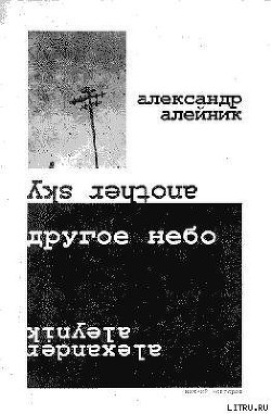 Книга Другое небо