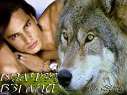 Книга Волчий взгляд (СИ)