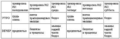 Новая энциклопедия бодибилдинга. Кн.2. Программы тренировок - _46.jpg
