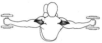 Новая энциклопедия бодибилдинга. Кн.3. Упражнения - _05.jpg